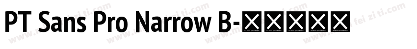 PT Sans Pro Narrow B字体转换